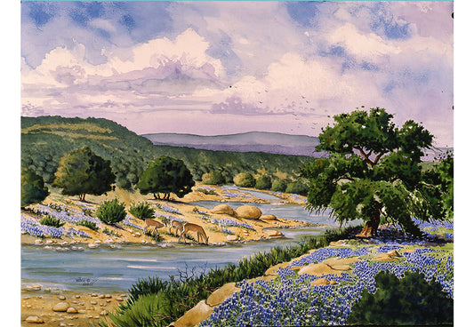 Mary Doerr - Afternoon on the Pedernales Print