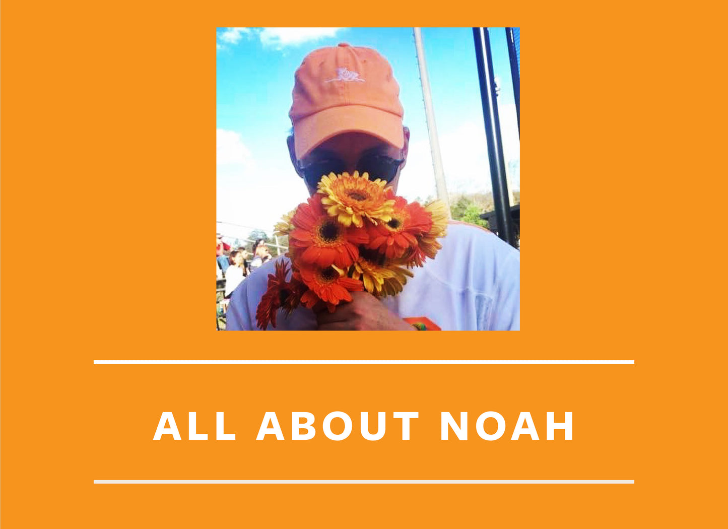 All About Noah