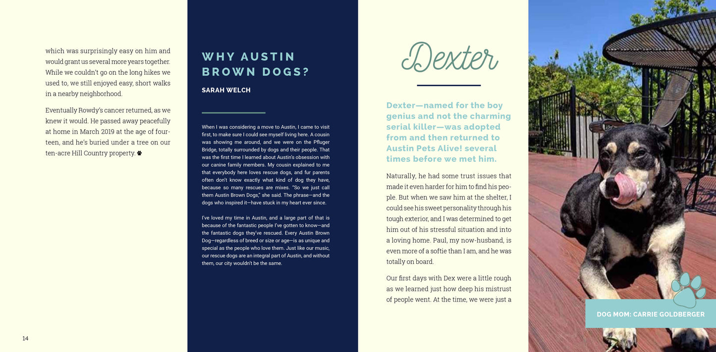 Austin Brown Dogs: The Shelter Dogs Who Rescue Us